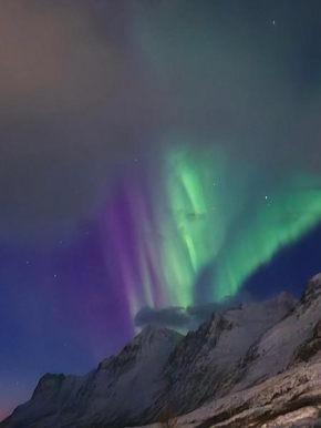 Familievennlig rekkehus Tromsø